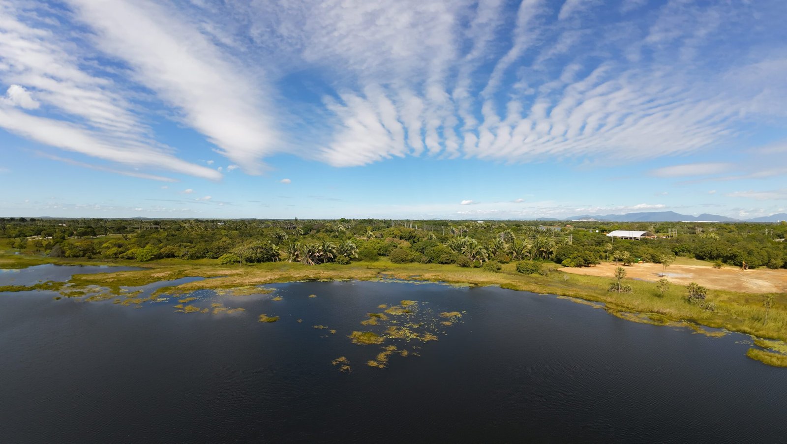 Lagoar Terra Brasilis